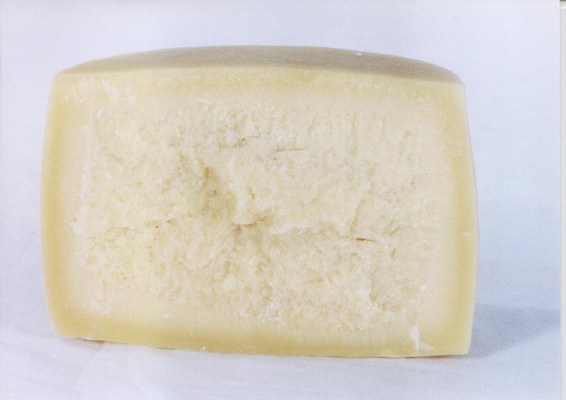 Rich Parmesan Cheese